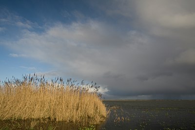 BUITEN BEELD Foto: 23064