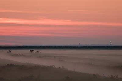 BUITEN BEELD Foto: 23068
