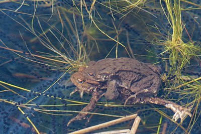 BUITEN BEELD Foto: 23079