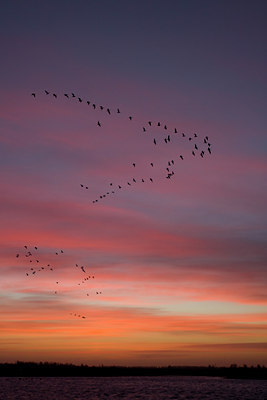 BUITEN BEELD Foto: 23082