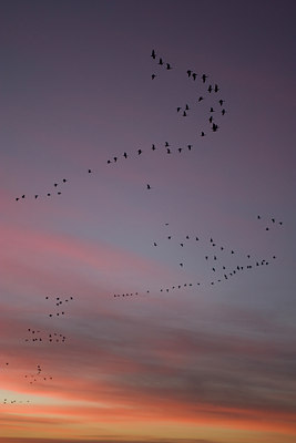 BUITEN BEELD Foto: 23083