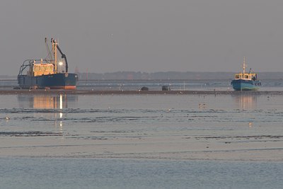BUITEN BEELD Foto: 23091