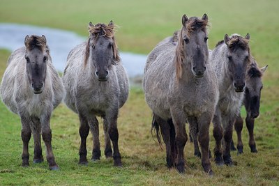 BUITEN BEELD Foto: 23098