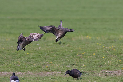 BUITEN BEELD Foto: 23150