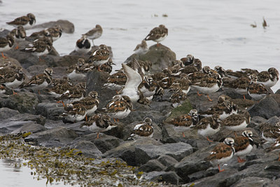 BUITEN BEELD Foto: 23159