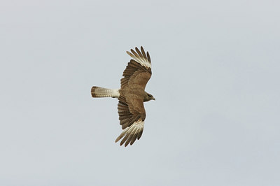 BUITEN BEELD Foto: 23206