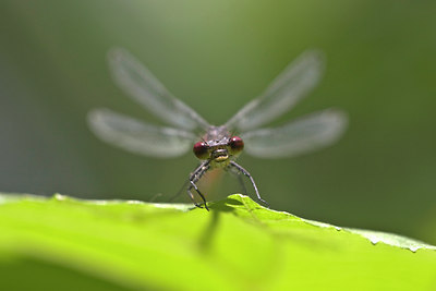 BUITEN BEELD Foto: 23250