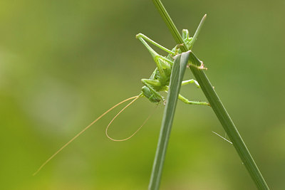 BUITEN BEELD Foto: 23264