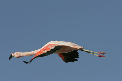 BUITEN BEELD Foto: 23350