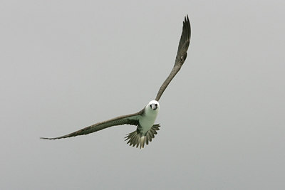 BUITEN BEELD Foto: 23374