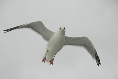 BUITEN BEELD Foto: 23384