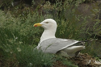 BUITEN BEELD Foto: 23386