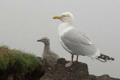BUITEN BEELD Foto: 23388
