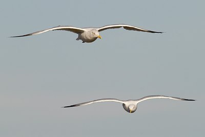 BUITEN BEELD Foto: 23390