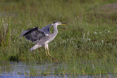 BUITEN BEELD Foto: 23411