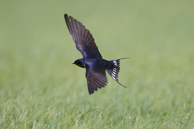 BUITEN BEELD Foto: 23413