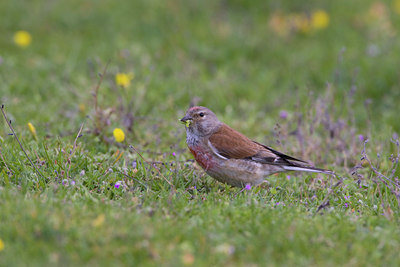 BUITEN BEELD Foto: 23422