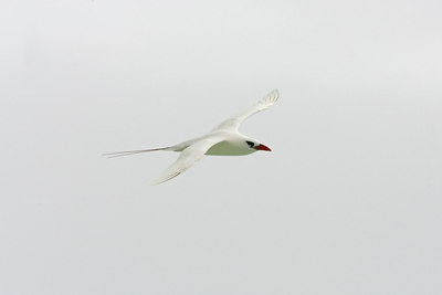 BUITEN BEELD Foto: 23456