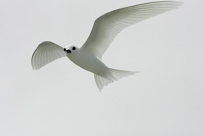 BUITEN BEELD Foto: 23469