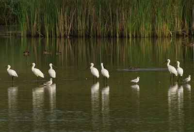 BUITEN BEELD Foto: 23487