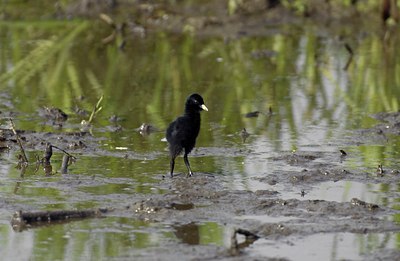 BUITEN BEELD Foto: 23493