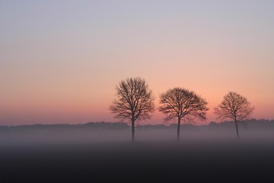 BUITEN BEELD Foto: 23504