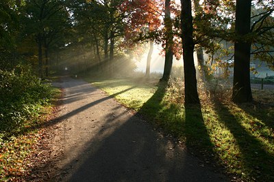 BUITEN BEELD Foto: 23514