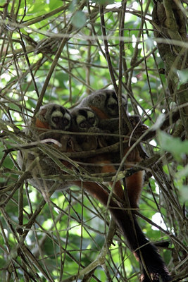BUITEN BEELD Foto: 23547