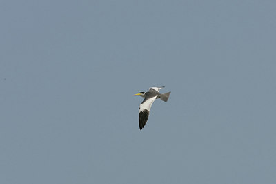 BUITEN BEELD Foto: 23552