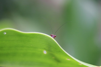 BUITEN BEELD Foto: 23574