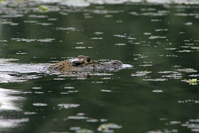 BUITEN BEELD Foto: 23575