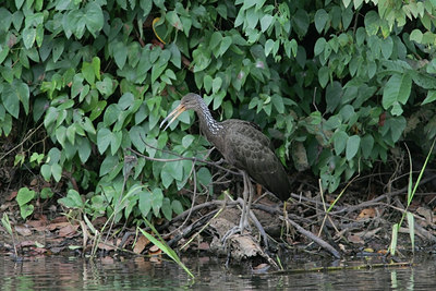 BUITEN BEELD Foto: 23578