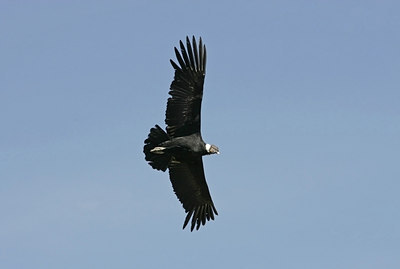 BUITEN BEELD Foto: 23628
