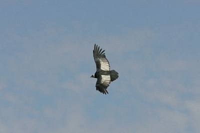 BUITEN BEELD Foto: 23632