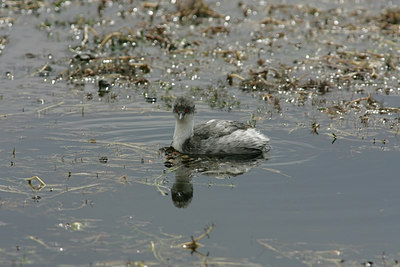 BUITEN BEELD Foto: 23649