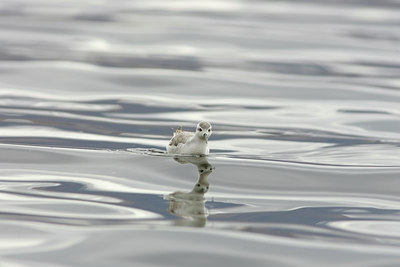 BUITEN BEELD Foto: 23650