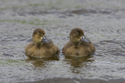 BUITEN BEELD Foto: 23657