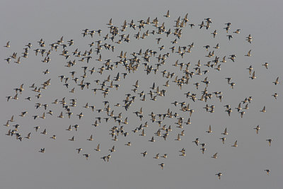 BUITEN BEELD Foto: 23659
