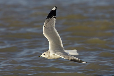 BUITEN BEELD Foto: 23668