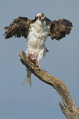 BUITEN BEELD Foto: 23692