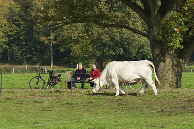 BUITEN BEELD Foto: 23702