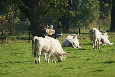 BUITEN BEELD Foto: 23703