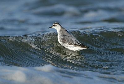 BUITEN BEELD Foto: 23705