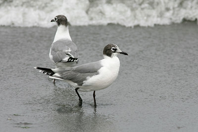 BUITEN BEELD Foto: 23740