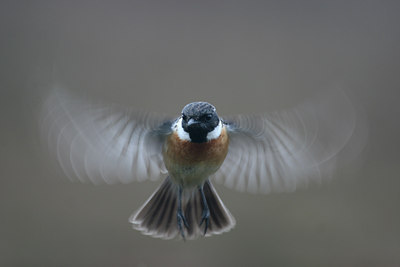 BUITEN BEELD Foto: 23759