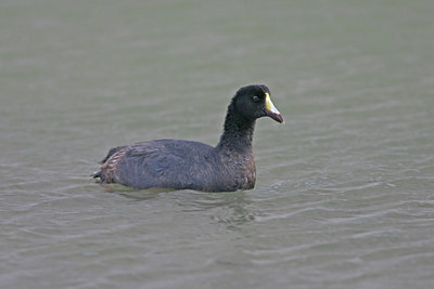 BUITEN BEELD Foto: 23763