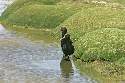 BUITEN BEELD Foto: 23764