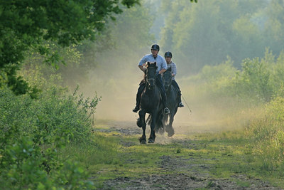 BUITEN BEELD Foto: 23803