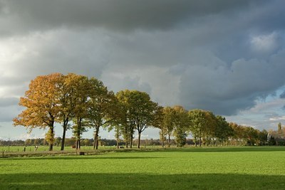 BUITEN BEELD Foto: 23816