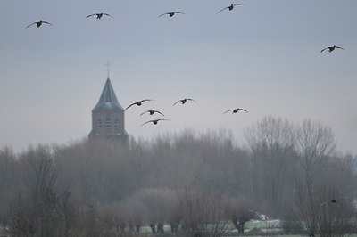 BUITEN BEELD Foto: 23830